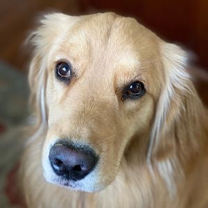 Meet your Posher, Gwen